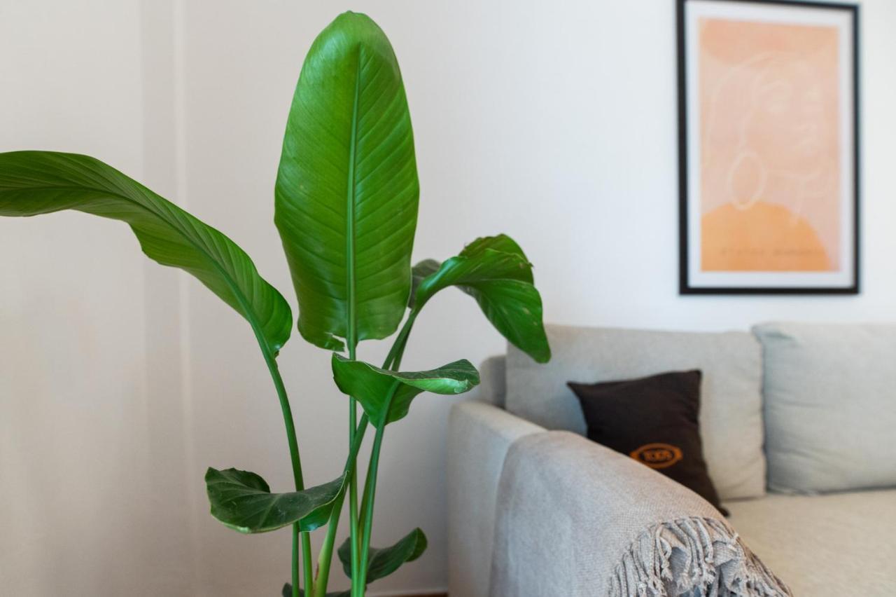 Appartement Flat 126 à Alexandroúpoli Extérieur photo